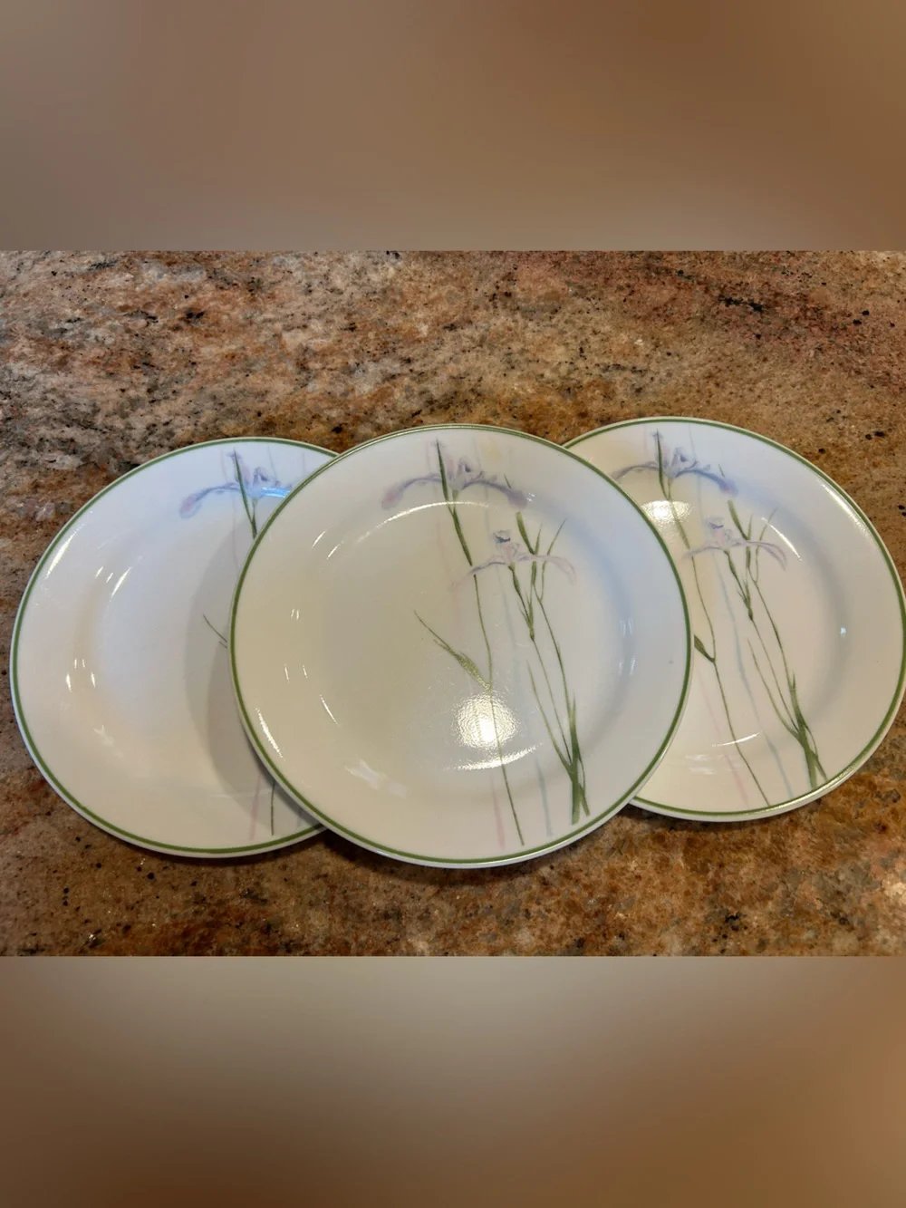 Corelle “Shadow Iris” Set of 3 Soup Bowl 7” & Salad Plate 7.25” No Chips 6 units